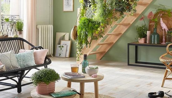 deco plante salon