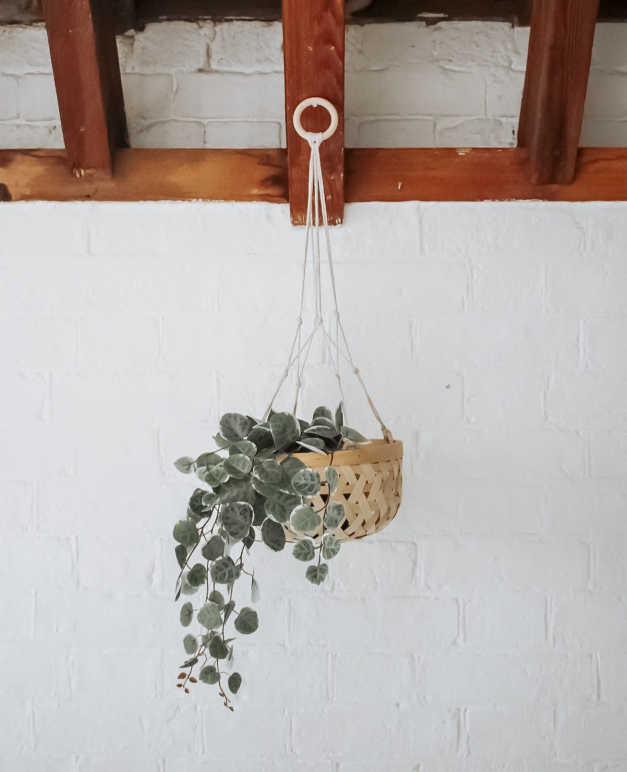 Kit De 4 Paniers Suspendus Macramé Boho - Corde Chanvre Naturelle, Supports Plantes Intérieur/extérieur