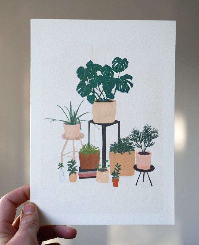 affiche plante intérieur illustrée