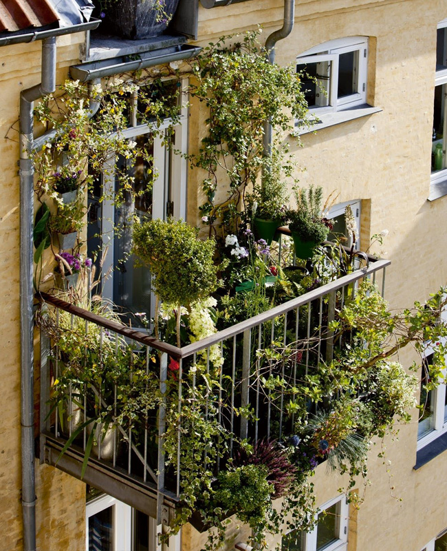 deco balcon rectangulaire plantes