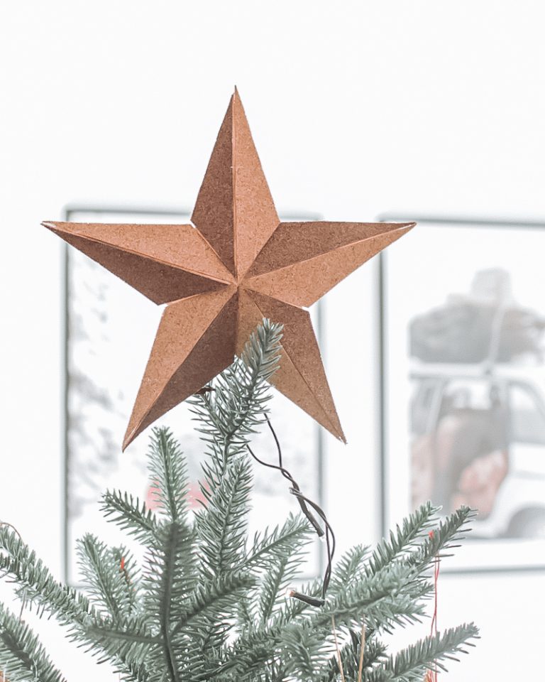 10 Ampoules LED E10 1W - 6V/12V, Blanc - Pour Guirlandes étoiles De Noël Ou Décoration