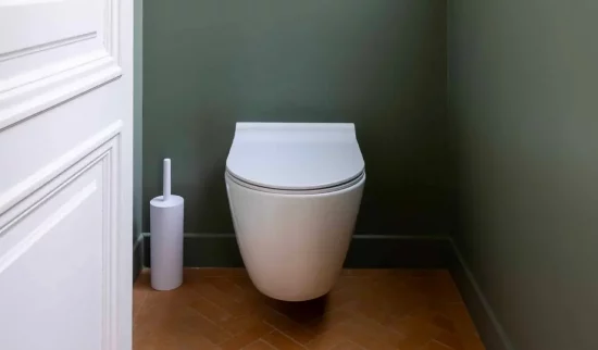 deco toilettes wc vert