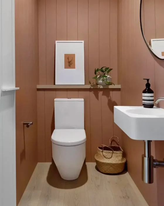 deco toilettes cosy peinture