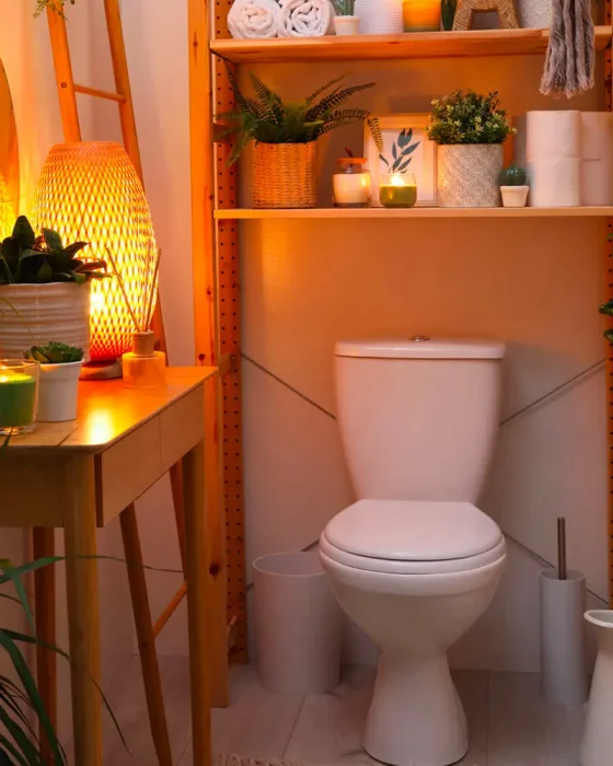 deco toilettes cosy bois