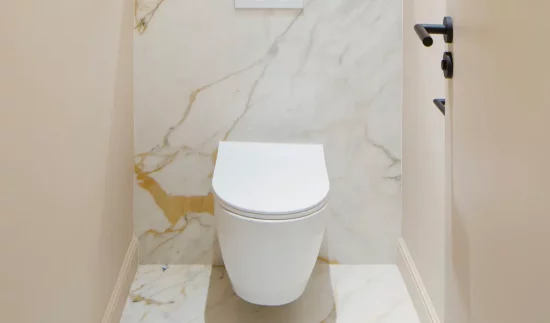 deco toilettes wc chic