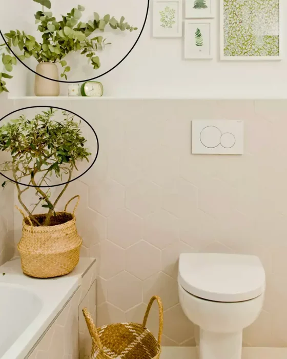 plantes deco toilettes tropicales