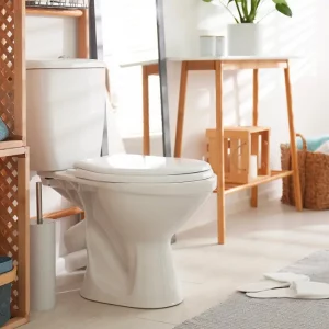 deco toilettes wc zen