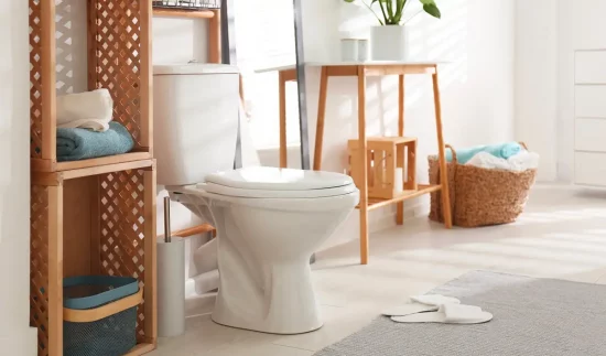 deco toilettes wc zen