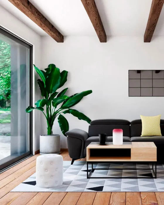 deco salon scandinave canape noir